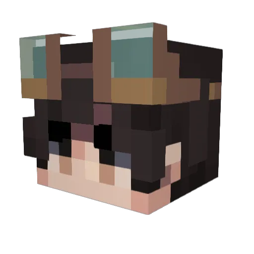 vict429a Minecraft avatar head, 3D render