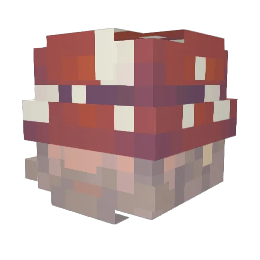 victorLeft Minecraft avatar head, 3D render