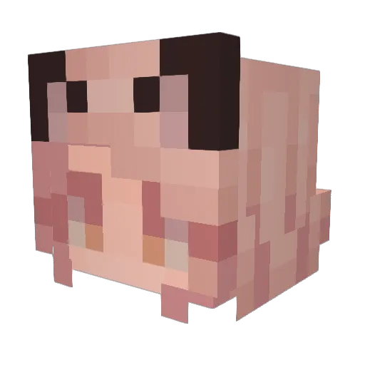 victoria828 Minecraft avatar head, 3D render