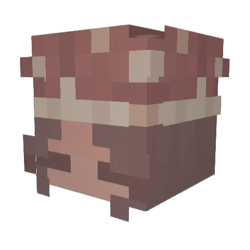 victoriaily Minecraft avatar head, 3D render