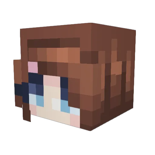 viddypiddy Minecraft avatar head, 3D render