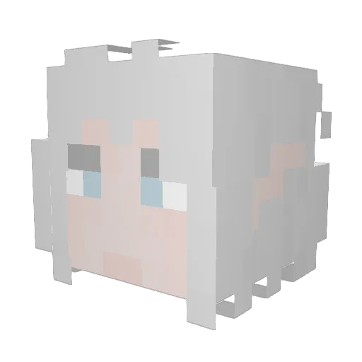 videogamer1129 Minecraft avatar head, 3D render