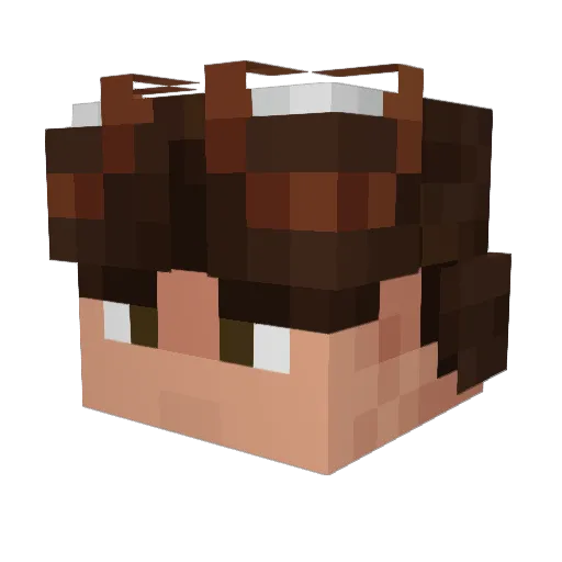 vidsmate Minecraft avatar head, 3D render