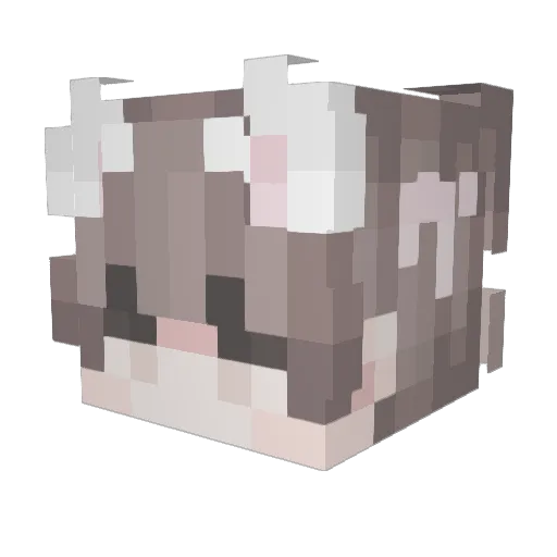viectzy Minecraft avatar head, 3D render