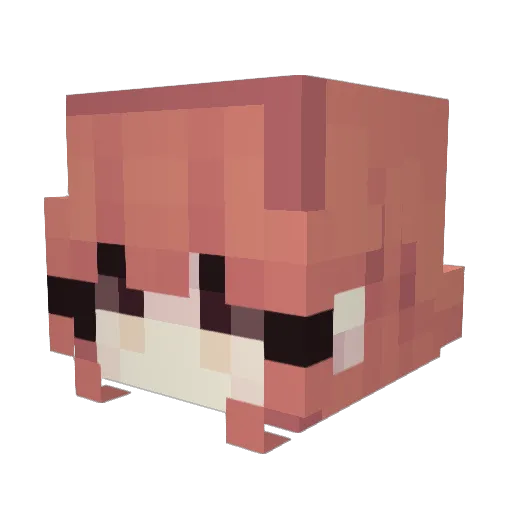 vievoovee Minecraft avatar head, 3D render