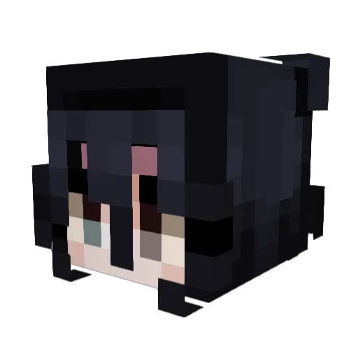 viewylover Minecraft avatar head, 3D render