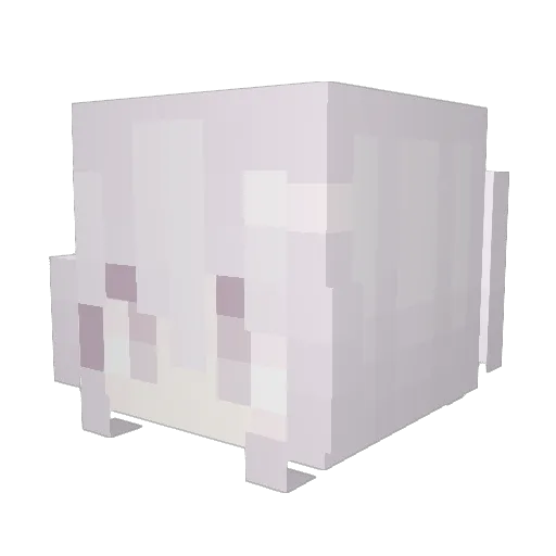 vieyla Minecraft avatar head, 3D render