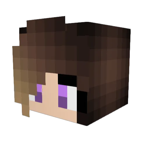 vigab Minecraft avatar head, 3D render