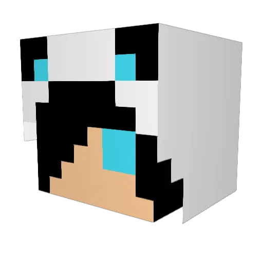 vigovdoord Minecraft avatar head, 3D render