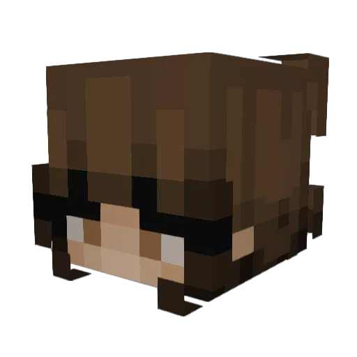 viiada Minecraft avatar head, 3D render
