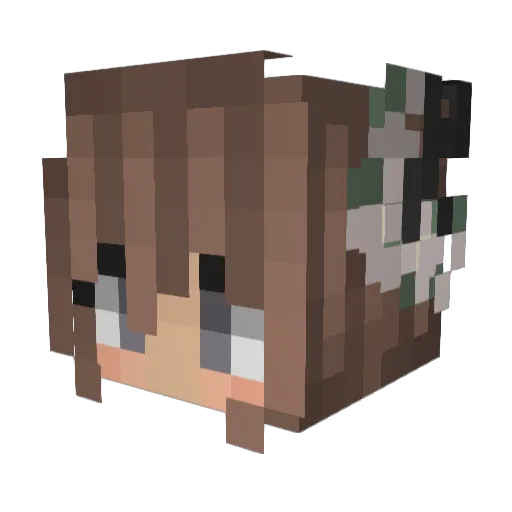 viisz_ Minecraft avatar head, 3D render