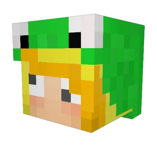 viiuldaja Minecraft avatar head, 3D render