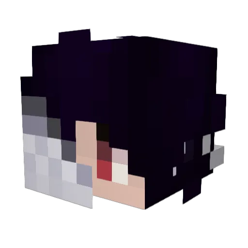 viixn_ Minecraft avatar head, 3D render