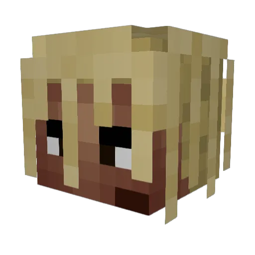 vijeeth Minecraft avatar head, 3D render