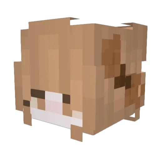 vika96 Minecraft avatar head, 3D render