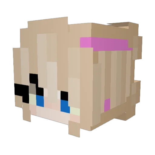 viki13 Minecraft avatar head, 3D render