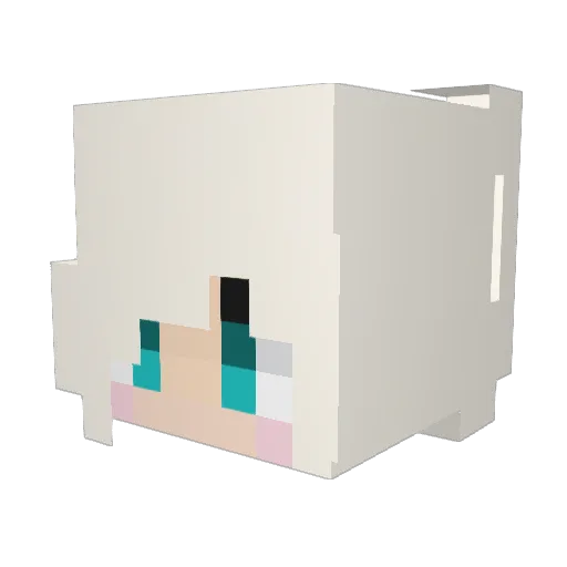 vikiboyxxx Minecraft avatar head, 3D render
