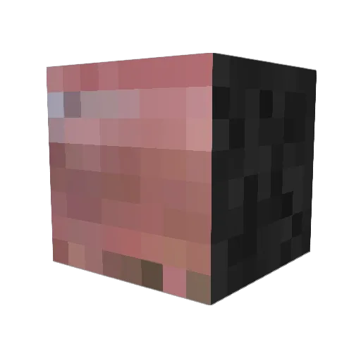 viktro_l Minecraft avatar head, 3D render