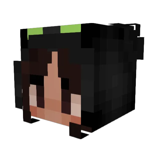 vilbee Minecraft avatar head, 3D render