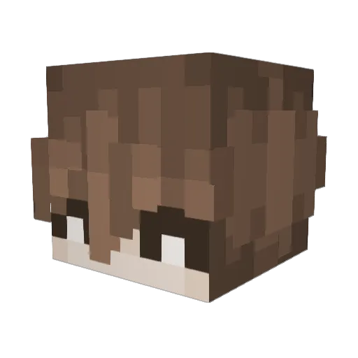vili55 Minecraft avatar head, 3D render