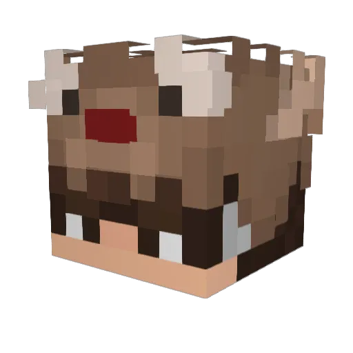 vilicek__CZ Minecraft avatar head, 3D render