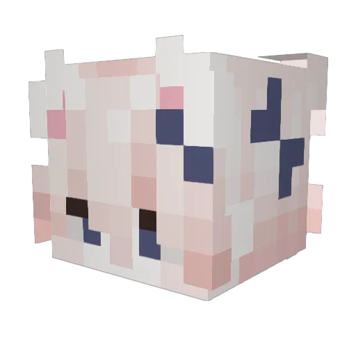 villa_89 Minecraft avatar head, 3D render