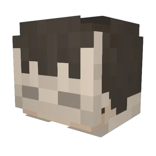 villaeg Minecraft avatar head, 3D render