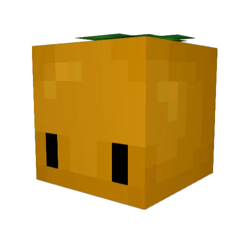 villagerturtle Minecraft avatar head, 3D render