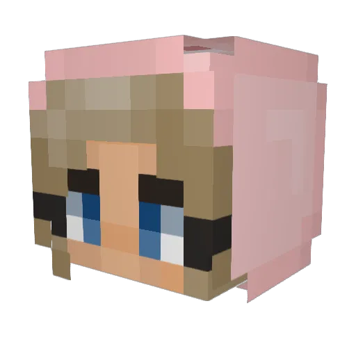 ville_fille Minecraft avatar head, 3D render