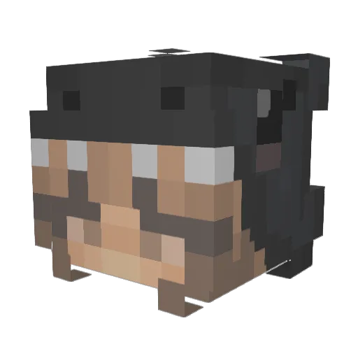 vilmaamandas Minecraft avatar head, 3D render