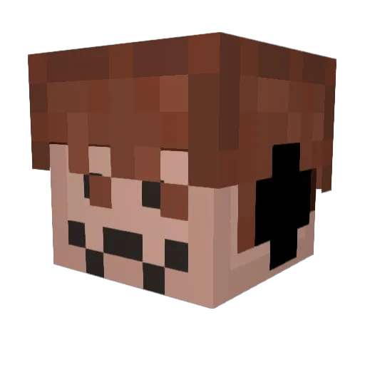 viltado Minecraft avatar head, 3D render