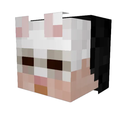 vilvanil Minecraft avatar head, 3D render