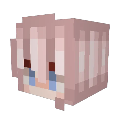 vin_ny Minecraft avatar head, 3D render