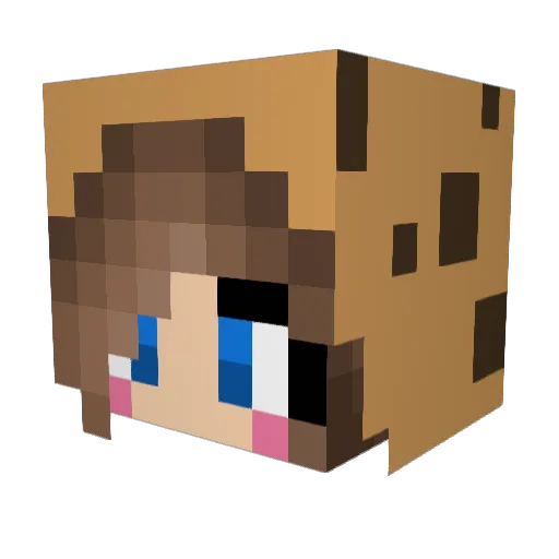 vinala_cupcake42 Minecraft avatar head, 3D render