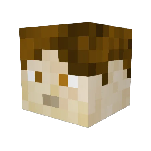 vincent1dus Minecraft avatar head, 3D render
