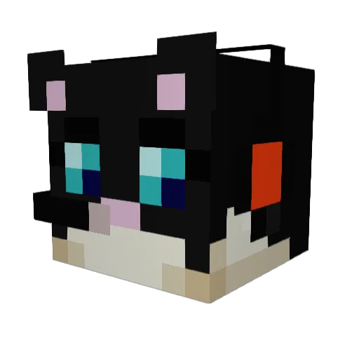 vincent_the_cat Minecraft avatar head, 3D render