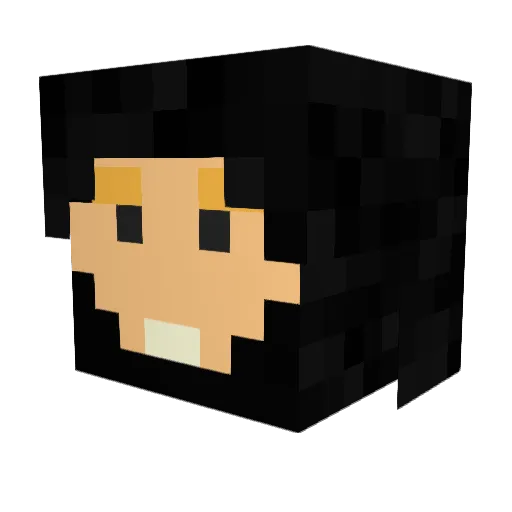 vincentdahu Minecraft avatar head, 3D render