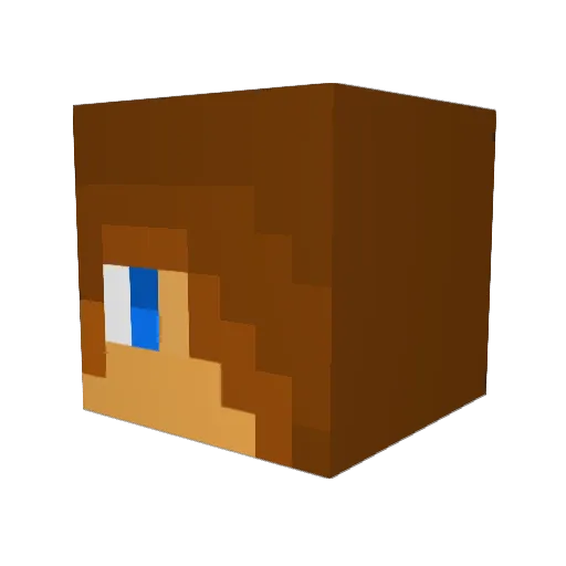 vincentpl123 Minecraft avatar head, 3D render