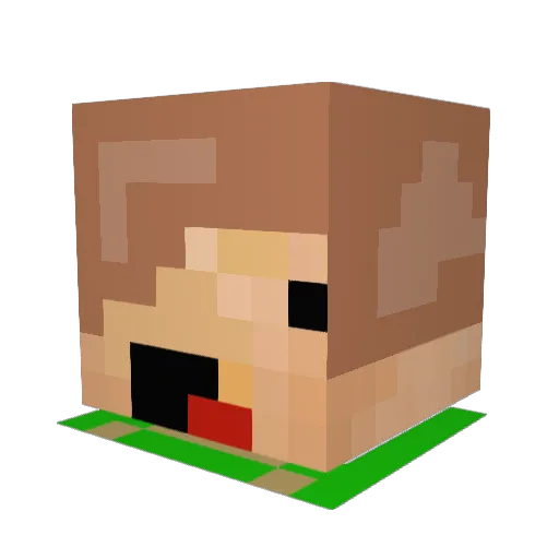 vincesanity Minecraft avatar head, 3D render
