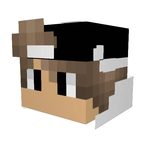 vinci_binsi Minecraft avatar head, 3D render