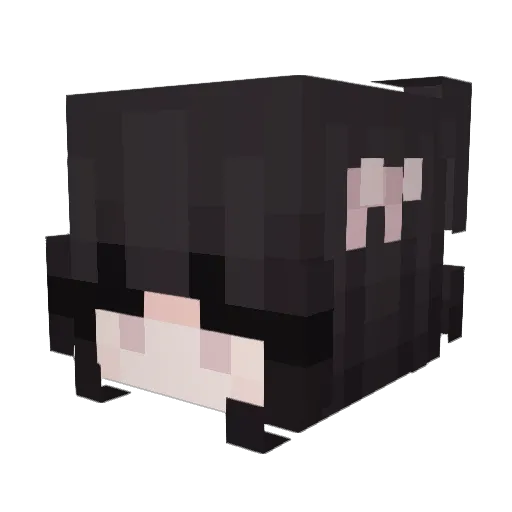 vinequill Minecraft avatar head, 3D render