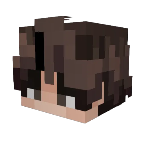 ving1n Minecraft avatar head, 3D render