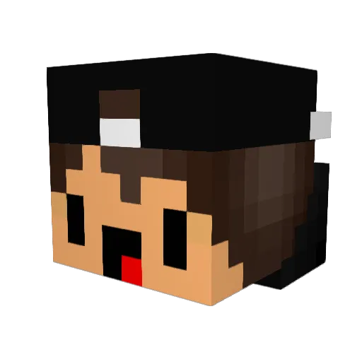 vinghoisugly Minecraft avatar head, 3D render