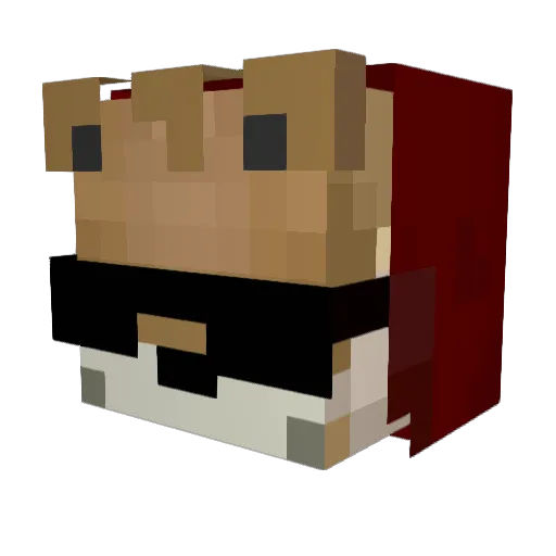 viniT800 Minecraft avatar head, 3D render