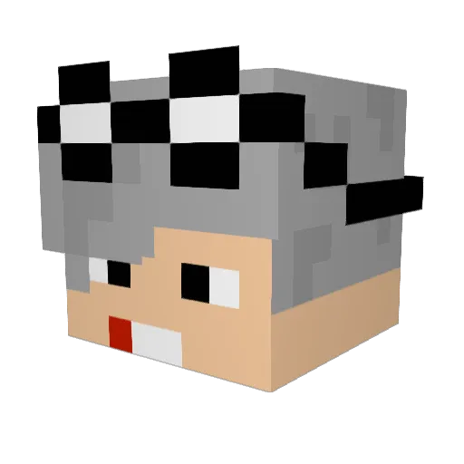 vini_amatnecks Minecraft avatar head, 3D render