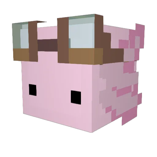 vini_brasil Minecraft avatar head, 3D render