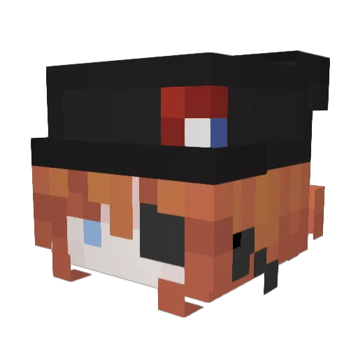 vini_vi Minecraft avatar head, 3D render