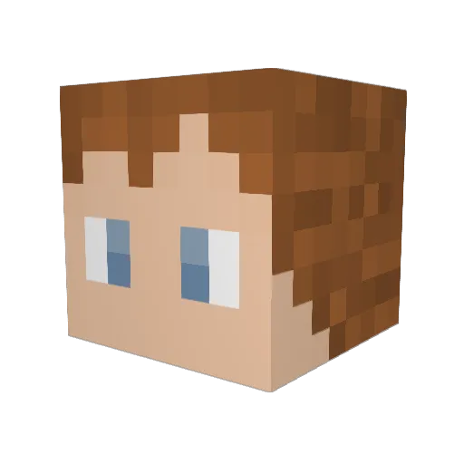 vinicius_shawty Minecraft avatar head, 3D render