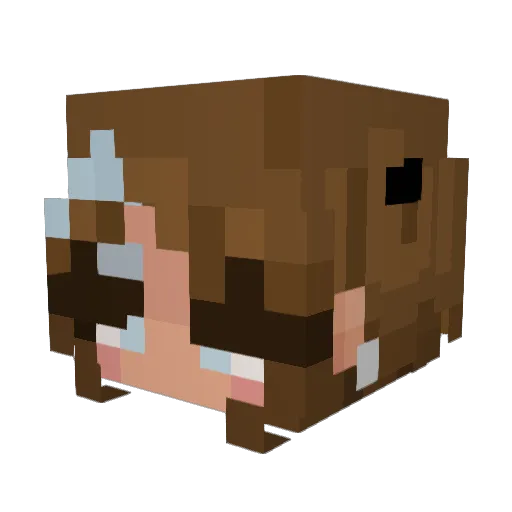 vinistia Minecraft avatar head, 3D render