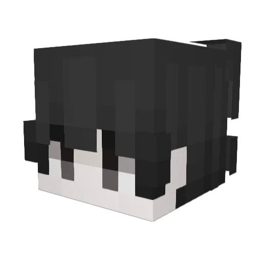 vinisz_ Minecraft avatar head, 3D render